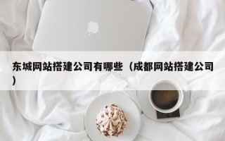 德宏东城网站搭建公司有哪些（成都网站搭建公司）